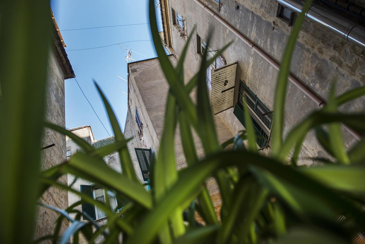 Obelus Bed & Breakfast Roma Exterior foto